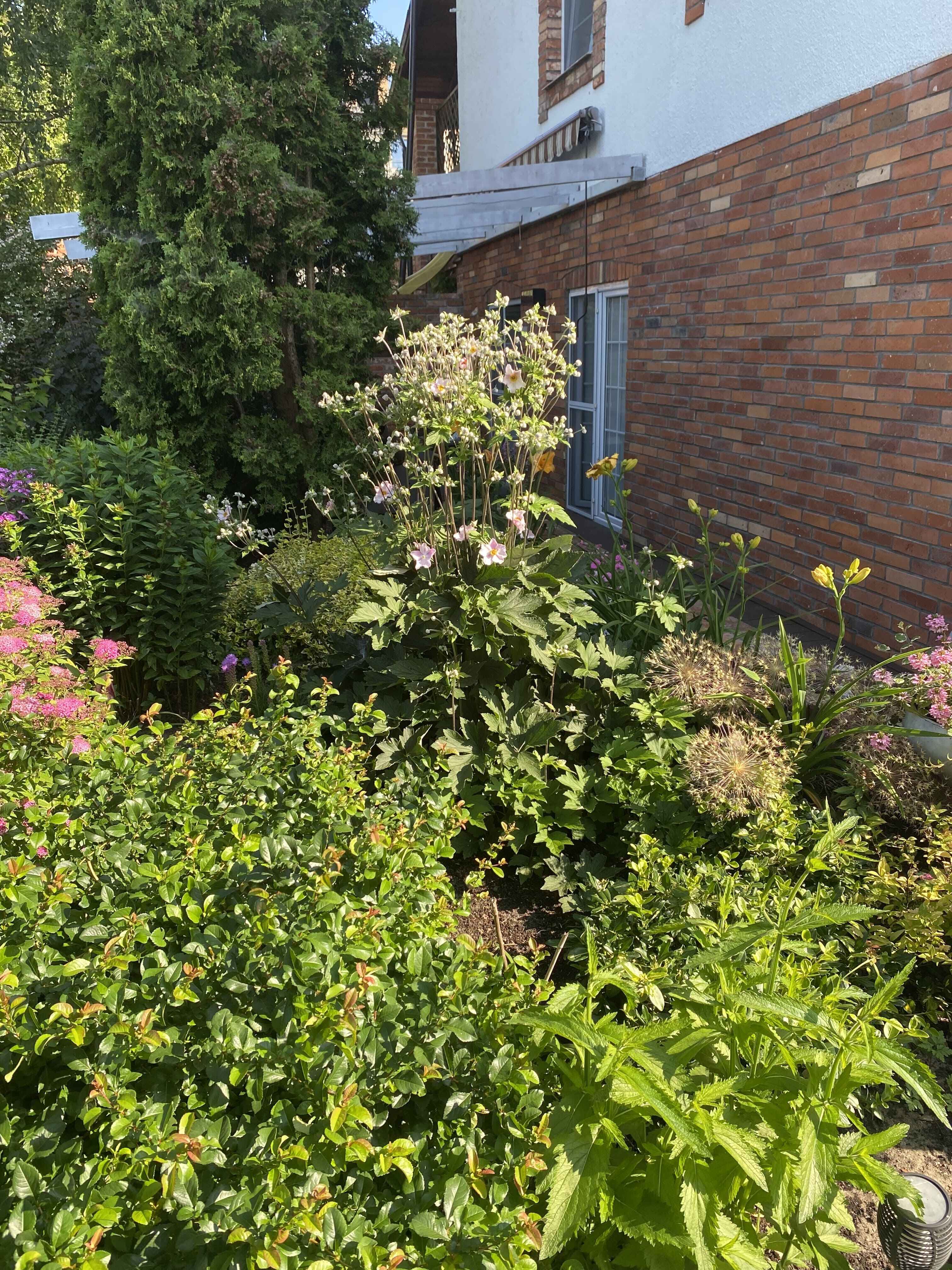 [Obraz z galerii Gościniec Strzecha 1]