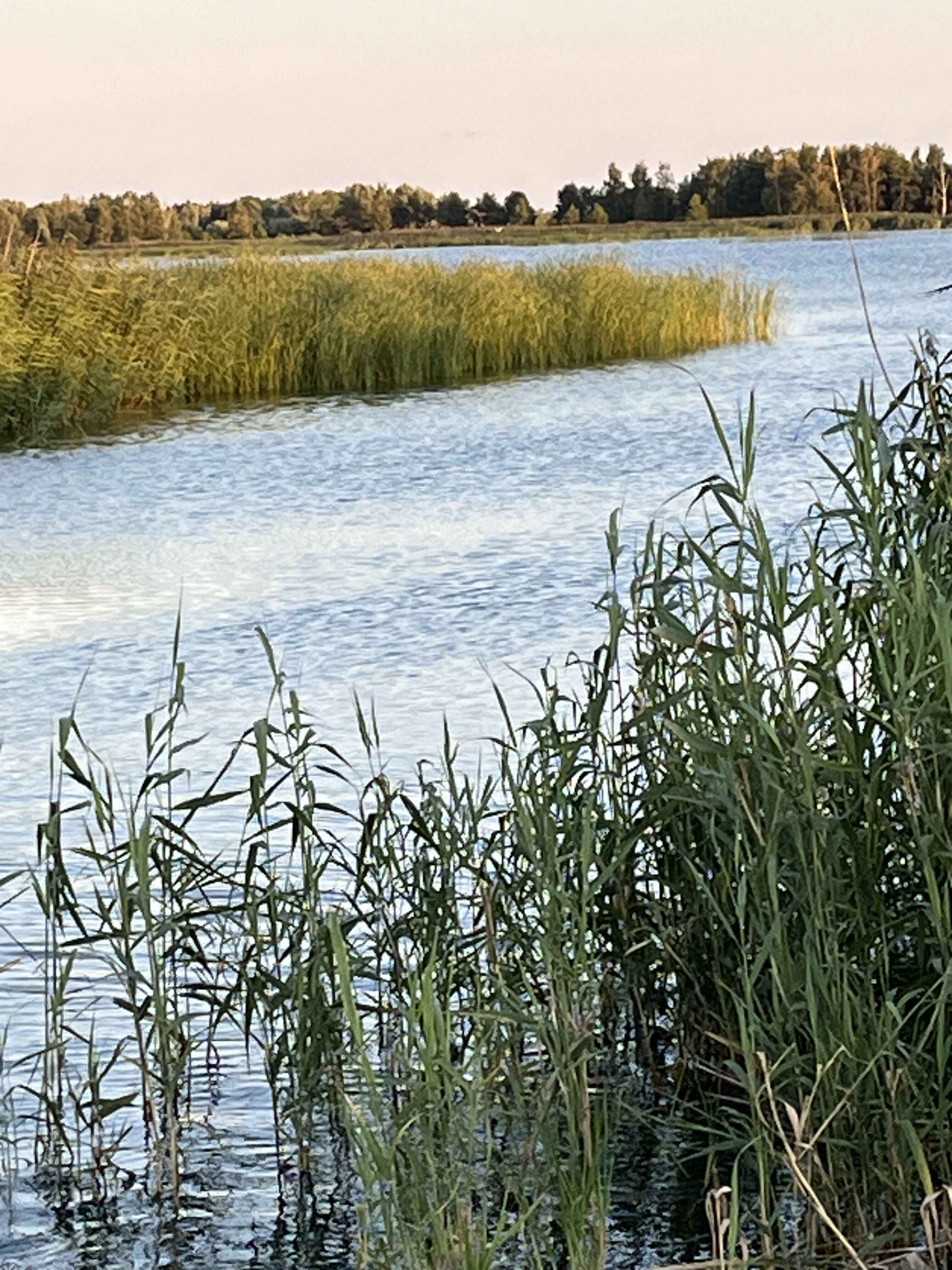 [Obraz z galerii Gościniec Strzecha 2]